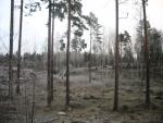 dec07_045