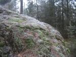 dec07_053