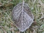 dec07_058