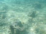 egypt04_023