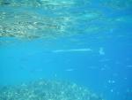 egypt04_042