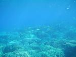 egynov04_052