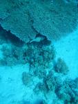 egynov04_058