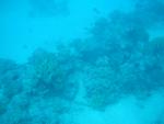 egynov04_069